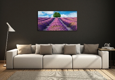 Quadro su vetro Campo di lavanda