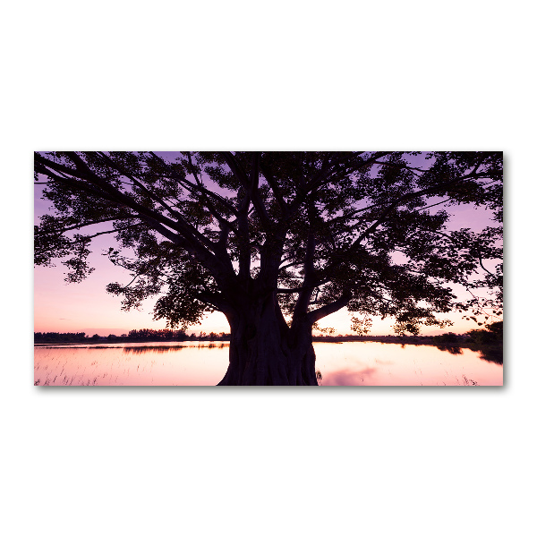 Quadro vetro Albero e lago
