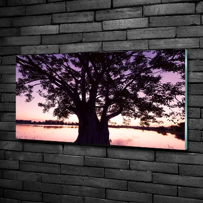 Quadro vetro Albero e lago