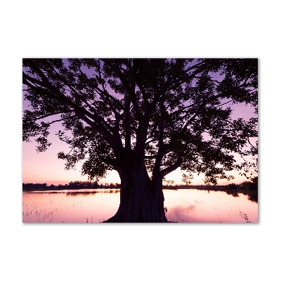 Quadro vetro Albero e lago
