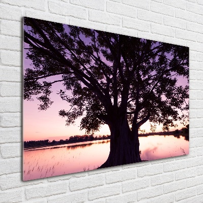 Quadro vetro Albero e lago