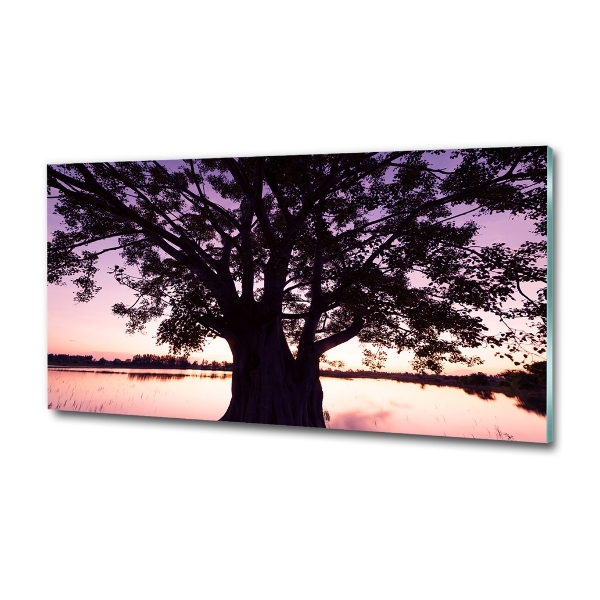 Quadro vetro Albero e lago