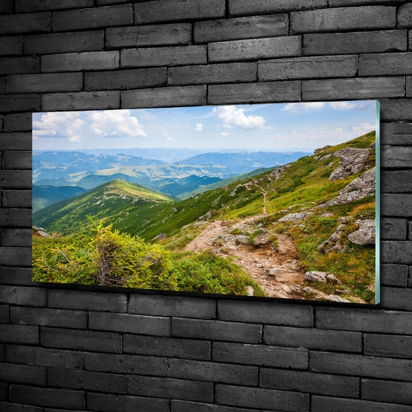 Quadro vetro Colline verdi