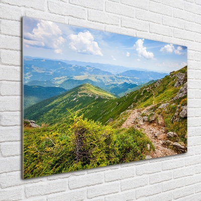 Quadro vetro Colline verdi