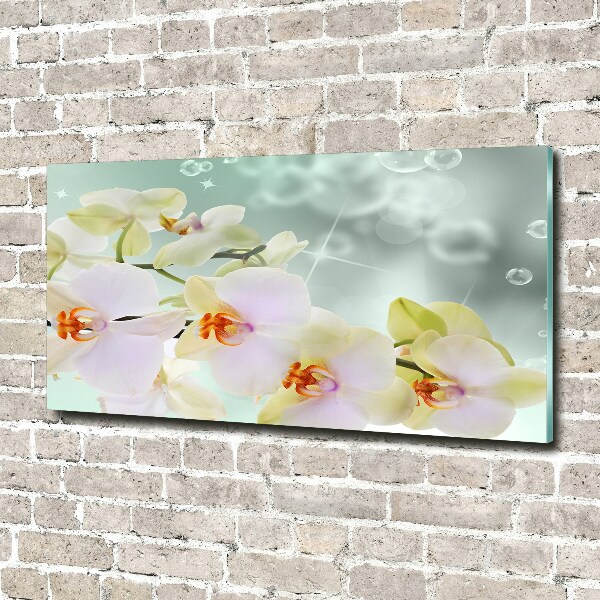 Quadro vetro Orchidea bianca