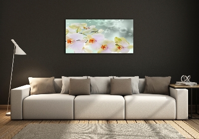 Quadro vetro Orchidea bianca