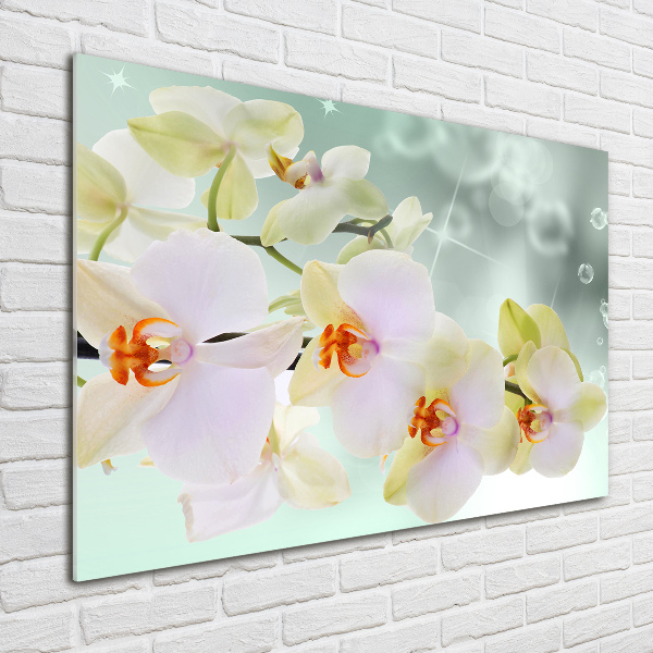 Quadro vetro Orchidea bianca