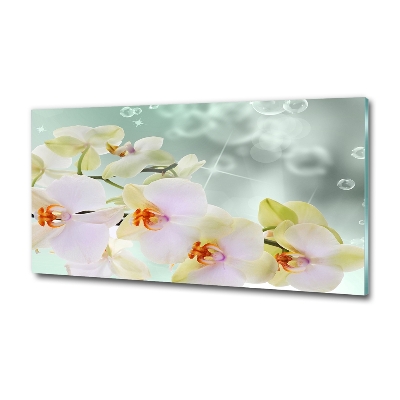 Quadro vetro Orchidea bianca