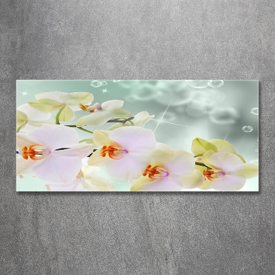 Quadro vetro Orchidea bianca