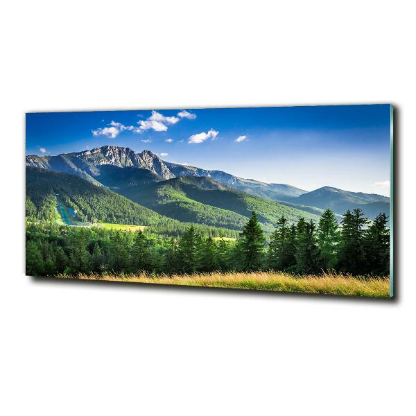 Quadro vetro Salto con gli sci sui Monti Tatra