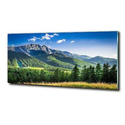 Quadro vetro Salto con gli sci sui Monti Tatra