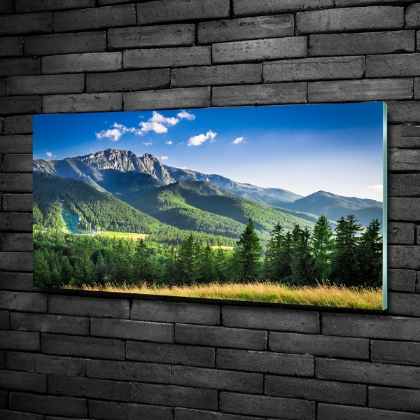 Quadro vetro Salto con gli sci sui Monti Tatra