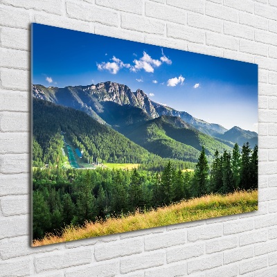 Quadro vetro Salto con gli sci sui Monti Tatra