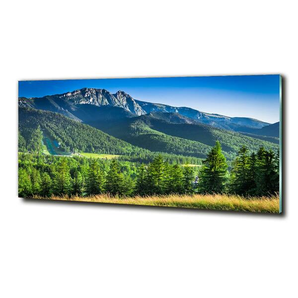 Quadro in vetro Salto con gli sci sui Monti Tatra