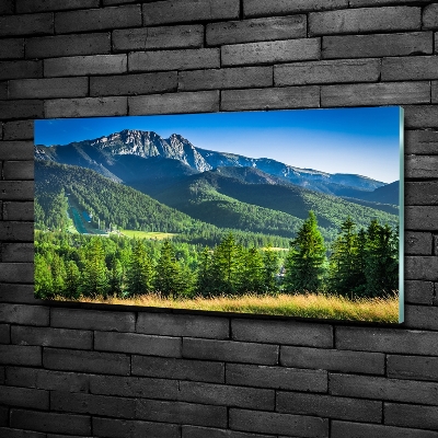 Quadro in vetro Salto con gli sci sui Monti Tatra