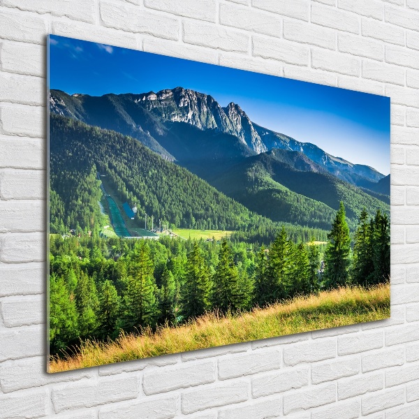 Quadro in vetro Salto con gli sci sui Monti Tatra