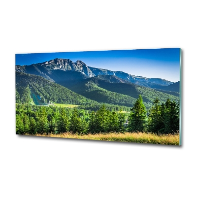 Quadro in vetro Salto con gli sci sui Monti Tatra