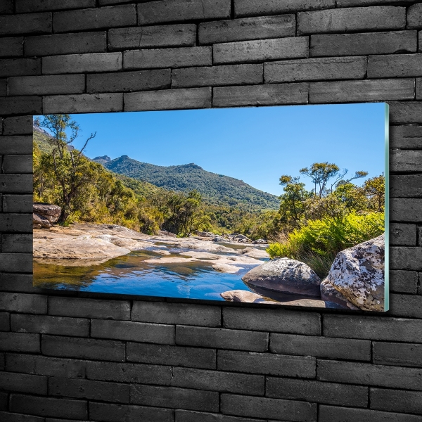 Quadro in verde Fiume nella foresta