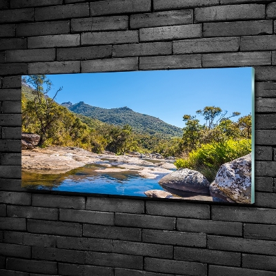 Quadro in verde Fiume nella foresta