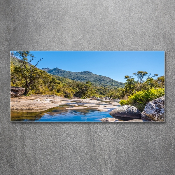 Quadro in verde Fiume nella foresta