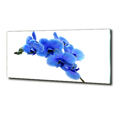 Quadro su vetro Orchidea blu