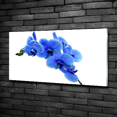 Quadro su vetro Orchidea blu