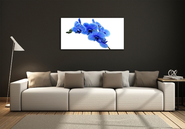 Quadro su vetro Orchidea blu