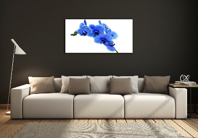 Quadro su vetro Orchidea blu