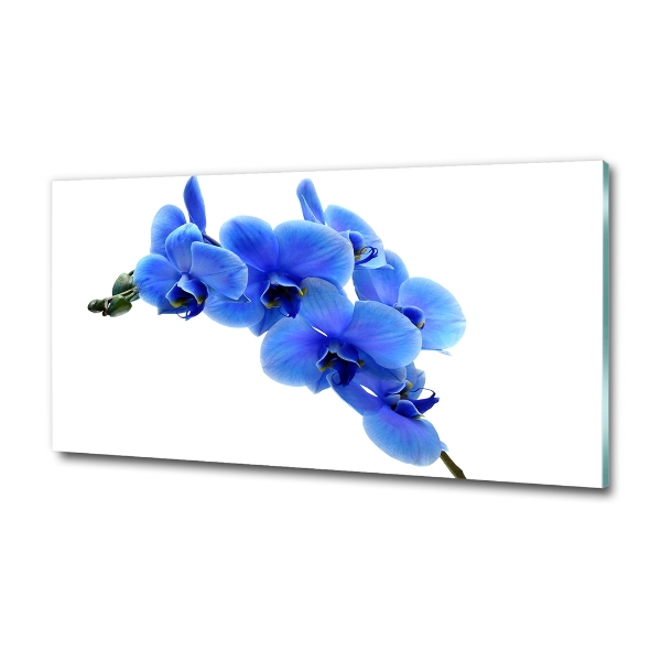 Quadro su vetro Orchidea blu