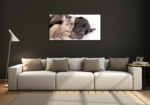 Quadro vetro Cane con gatto