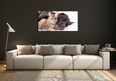 Quadro vetro Cane con gatto