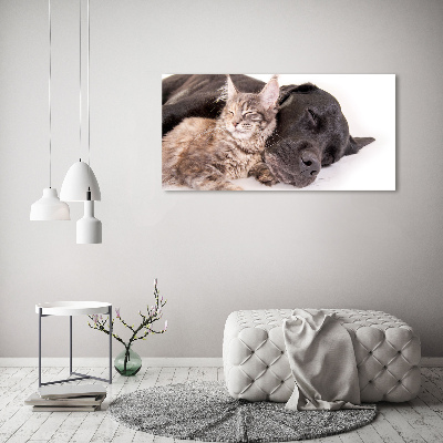 Quadro vetro Cane con gatto