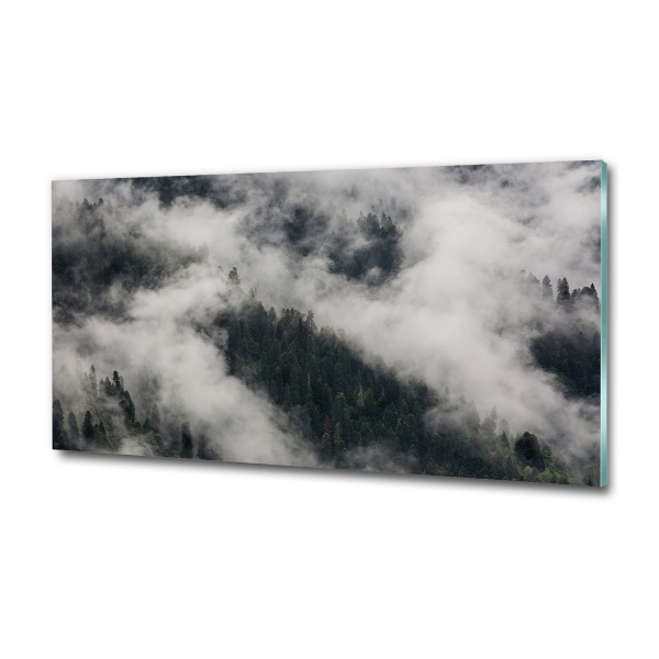 Quadro vetro Nebbia sulla foresta
