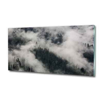 Quadro vetro Nebbia sulla foresta