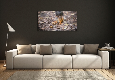 Quadro in verde Scoiattolo