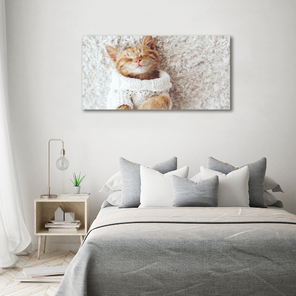 Quadro vetro Gattino con il maglione