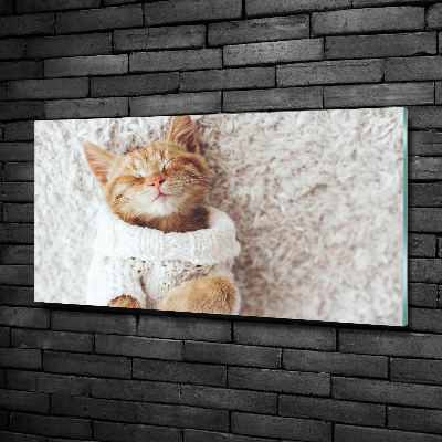 Quadro vetro Gattino con il maglione