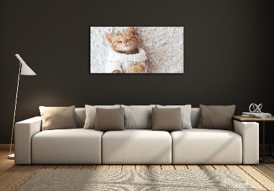 Quadro vetro Gattino con il maglione