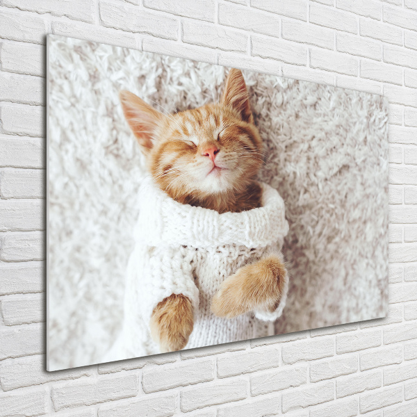 Quadro vetro Gattino con il maglione
