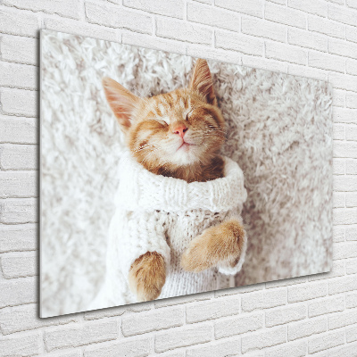Quadro vetro Gattino con il maglione