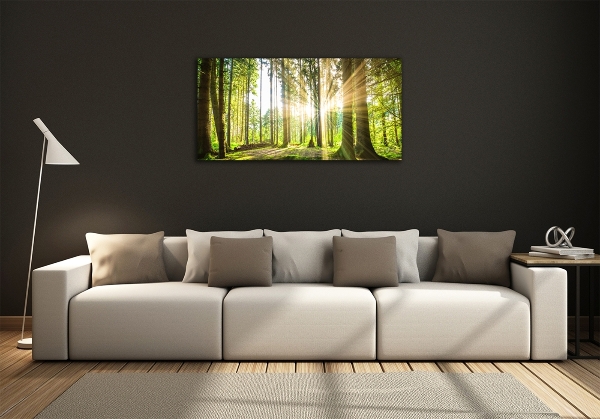 Quadro vetro Foresta al sole