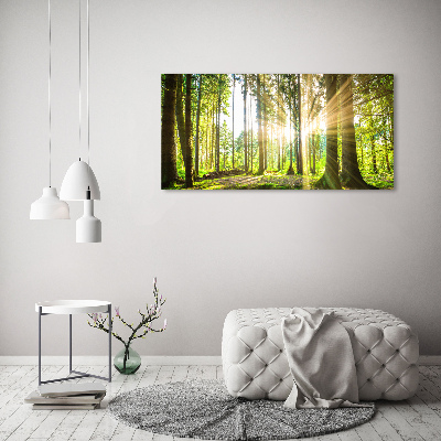Quadro vetro Foresta al sole