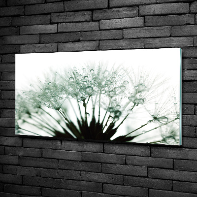 Quadro vetro Semi di tarassaco