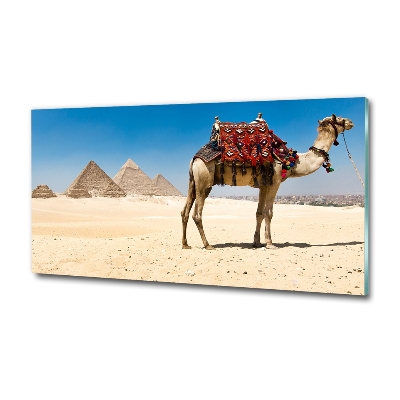 Quadro vetro Cammelli al Cairo