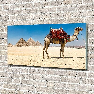 Quadro vetro Cammelli al Cairo