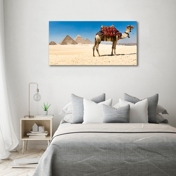 Quadro vetro Cammelli al Cairo