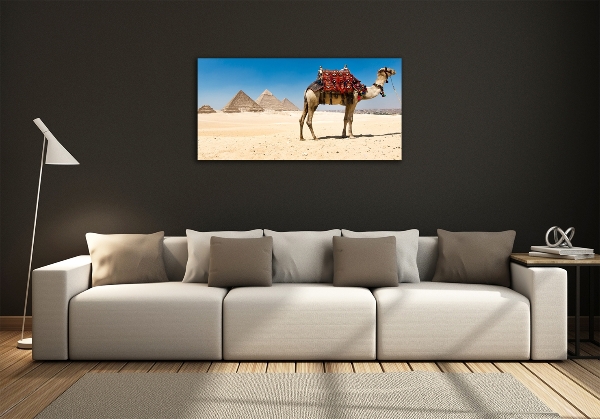 Quadro vetro Cammelli al Cairo