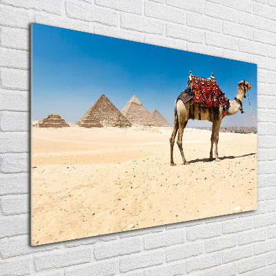Quadro vetro Cammelli al Cairo