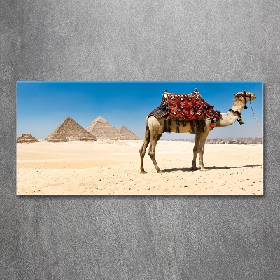 Quadro vetro Cammelli al Cairo