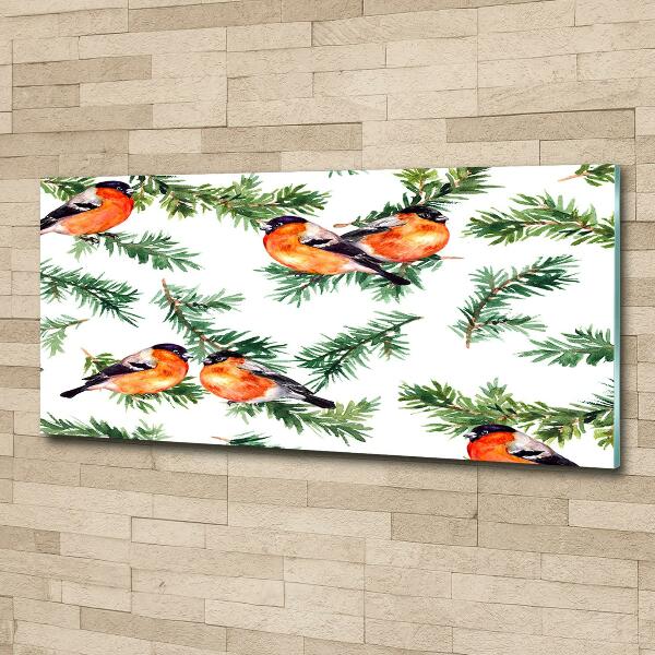 Quadro vetro Pettirosso su una conifera